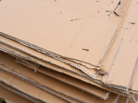 cardboard