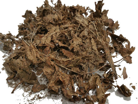 shredded leaves