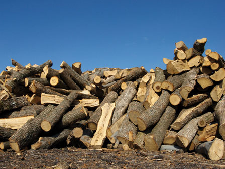 wood