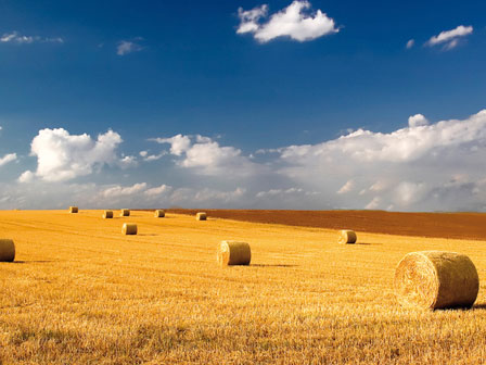 straw